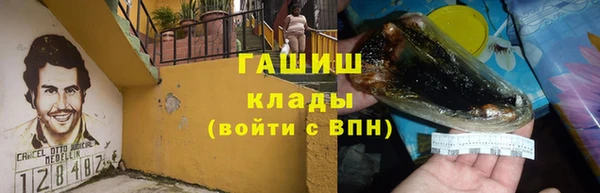 сатива Белокуриха