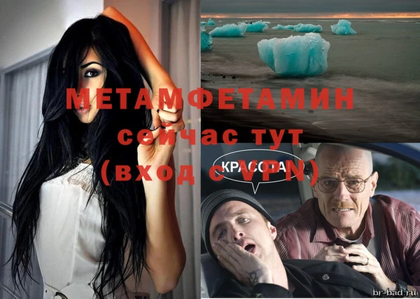 сатива Белокуриха