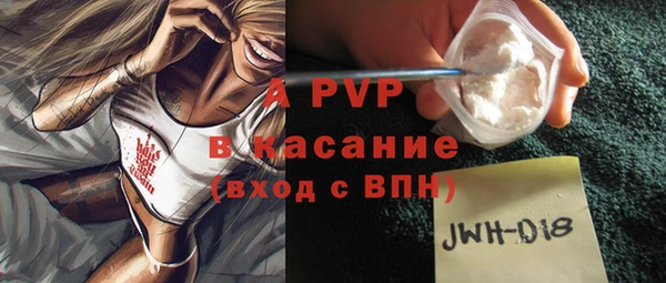 сатива Белокуриха